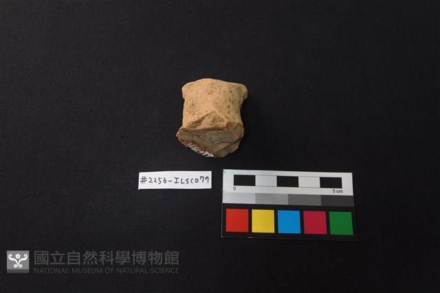 陶蓋藏品圖，第2張