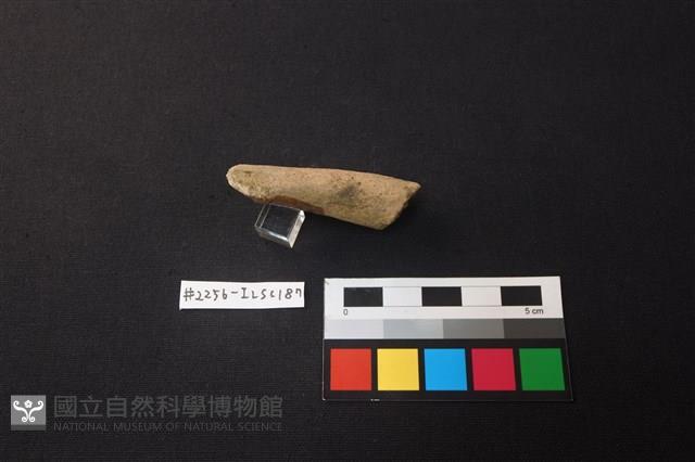 陶片藏品圖，第2張