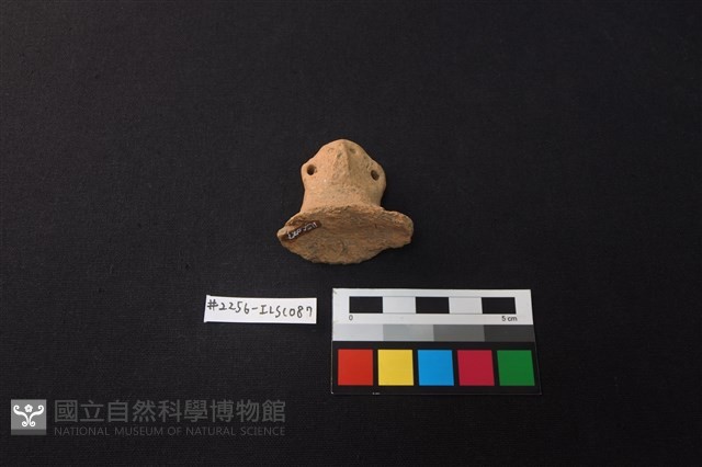 陶片藏品圖，第2張
