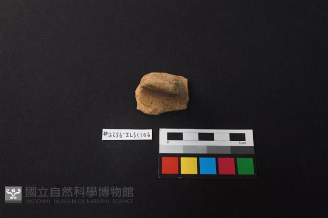 陶片藏品圖，第1張