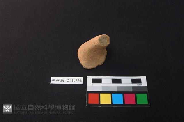 陶片藏品圖，第1張