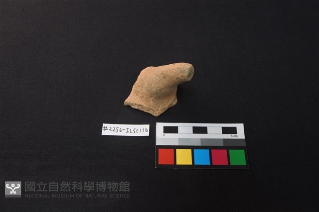 陶片藏品圖，第1張