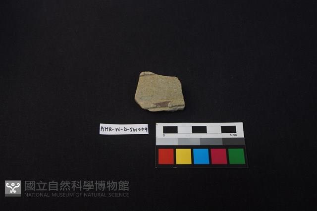 硬陶片藏品圖，第1張