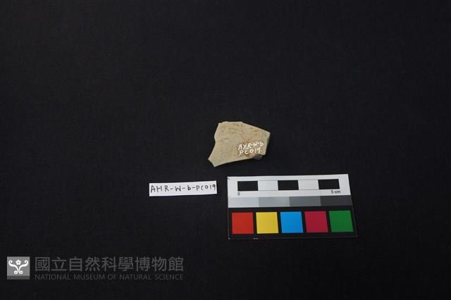 瓷片藏品圖，第1張