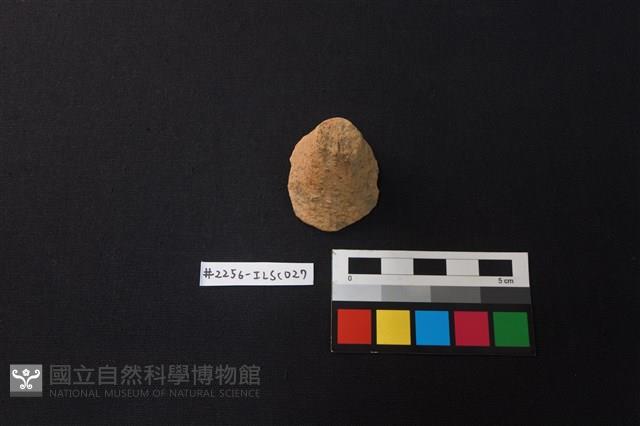 陶片藏品圖，第1張