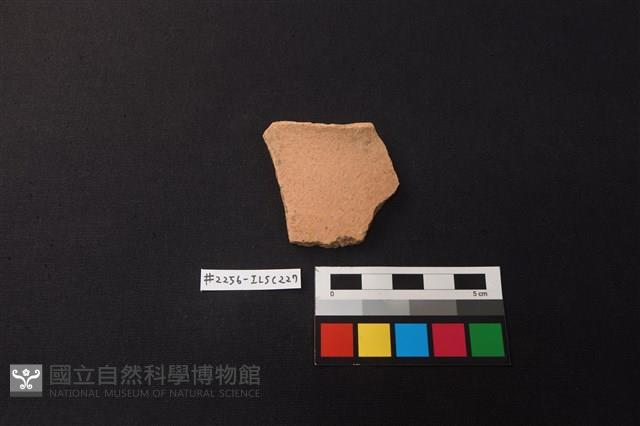 Accession Number:ILSC227 Collection Image, Figure 1, Total 2 Figures