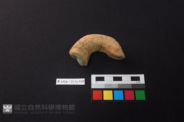 陶片藏品圖，第1張