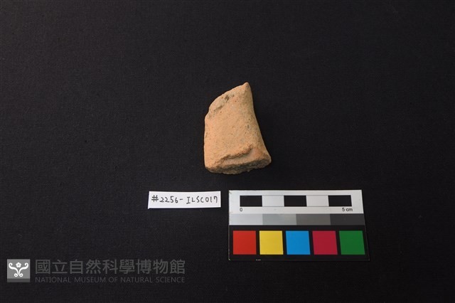 陶片藏品圖，第1張