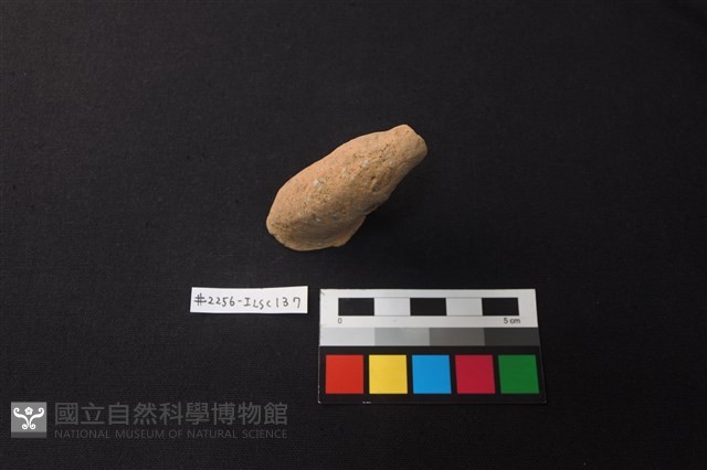 陶片藏品圖，第1張