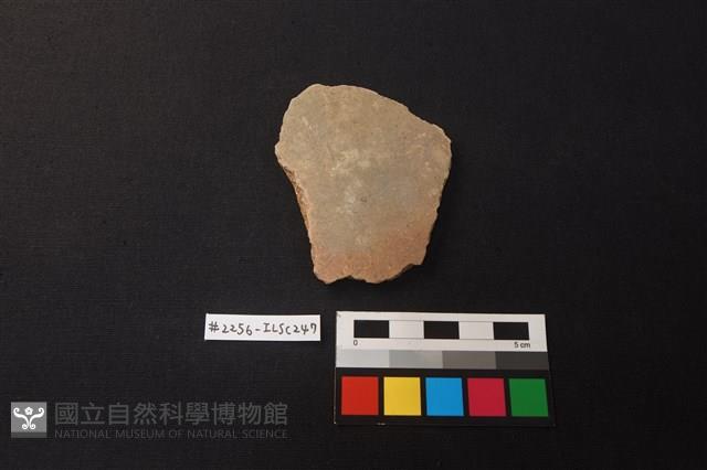 陶片藏品圖，第1張