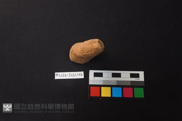 陶片藏品圖，第1張