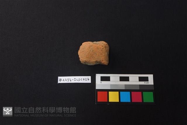 陶片藏品圖，第1張