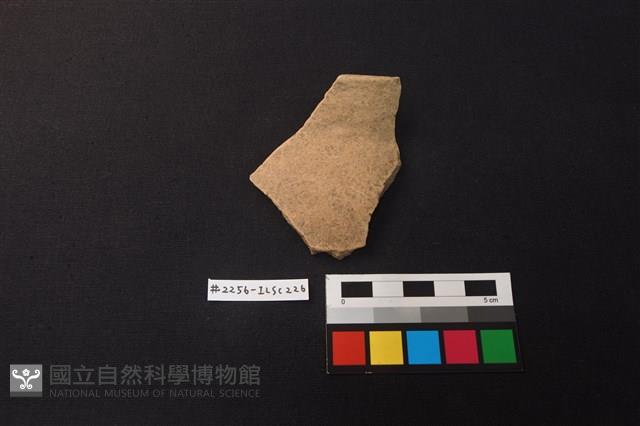 陶片藏品圖，第1張