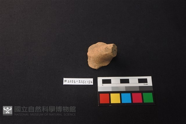 陶片藏品圖，第1張