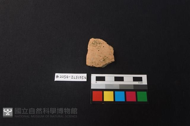 陶片藏品圖，第1張