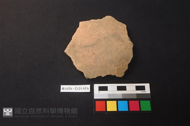 陶片藏品圖，第1張