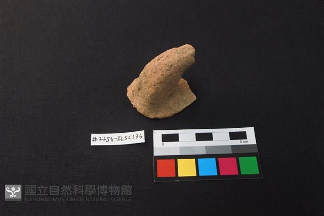 陶片藏品圖，第1張