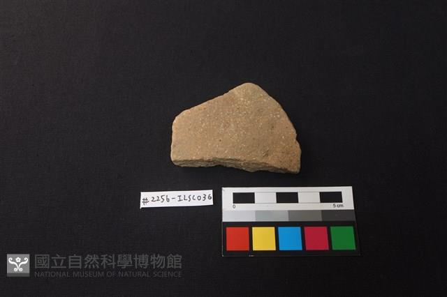 Accession Number:ILSC036 Collection Image, Figure 1, Total 2 Figures