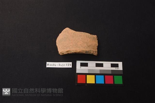 陶片藏品圖，第1張