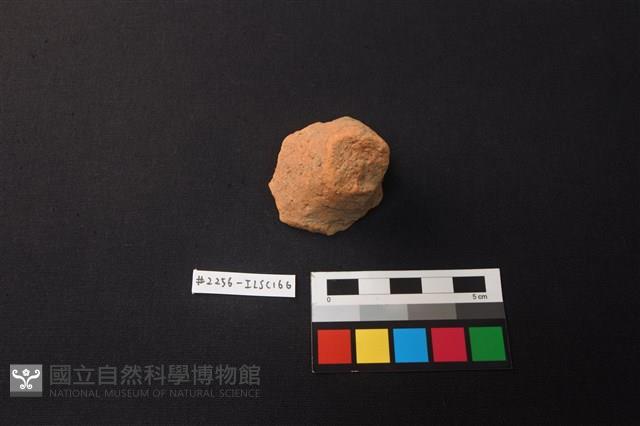 陶片藏品圖，第1張