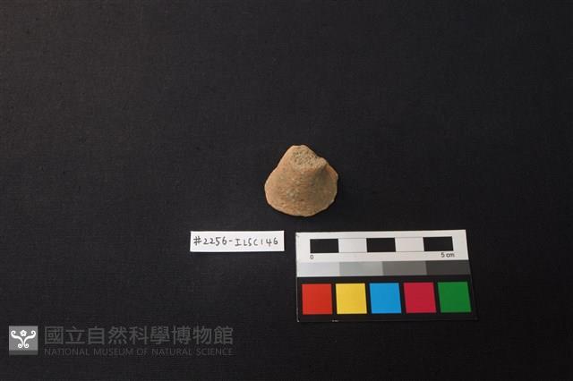 陶片藏品圖，第1張