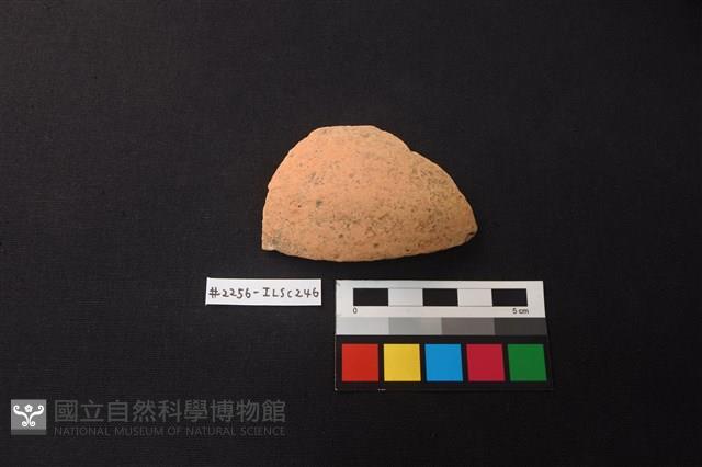 陶片藏品圖，第1張