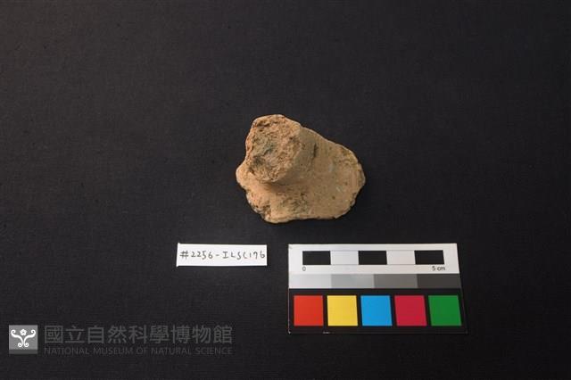 陶片藏品圖，第1張