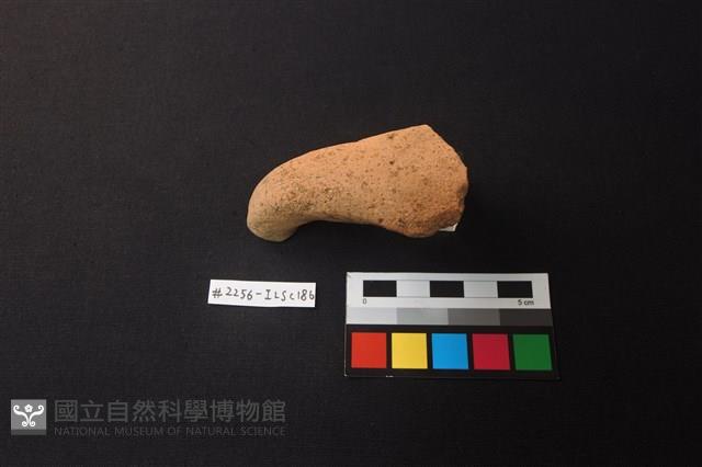 陶片藏品圖，第1張