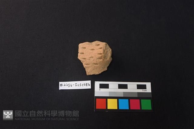 陶片藏品圖，第1張