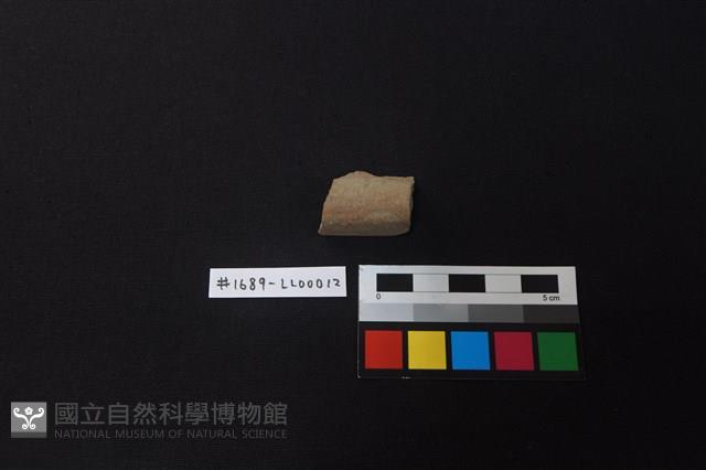 陶片藏品圖，第1張