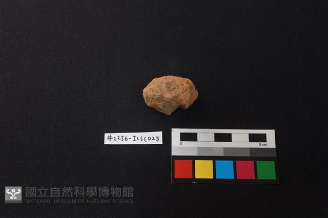 陶片藏品圖，第1張