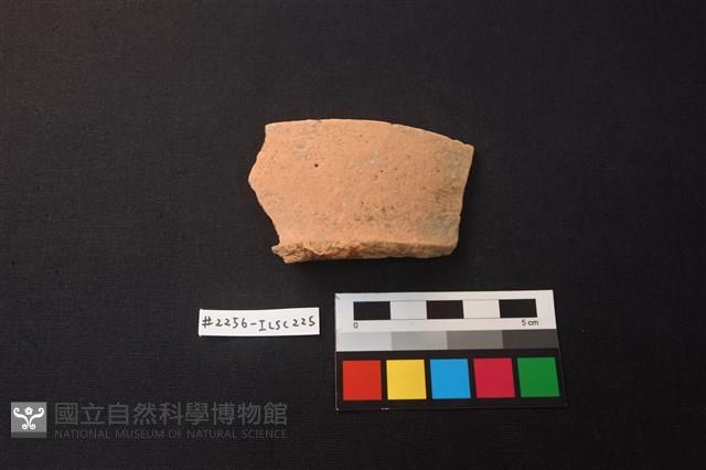 陶片藏品圖，第1張