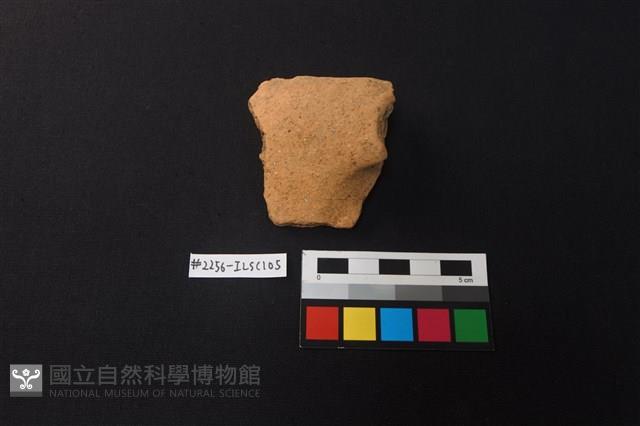 陶片藏品圖，第1張