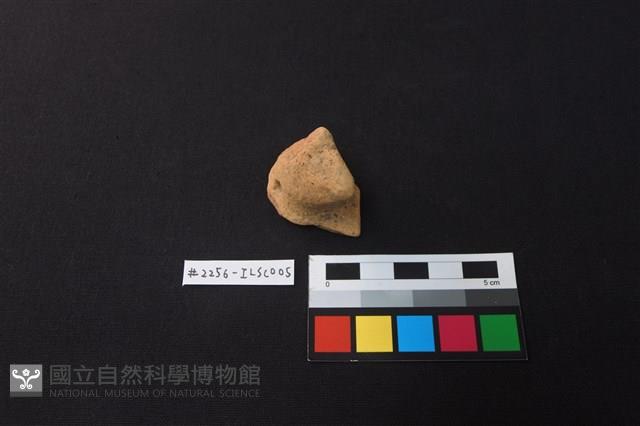 陶片藏品圖，第1張