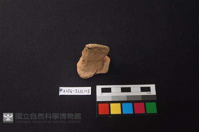 陶片藏品圖，第1張