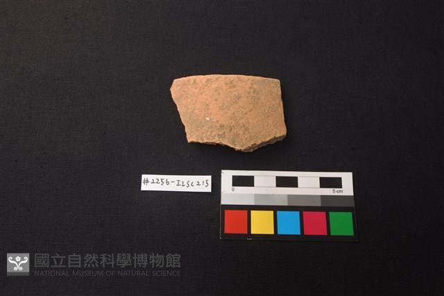 陶片藏品圖，第1張