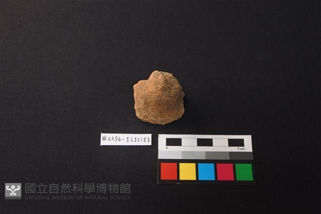 陶片藏品圖，第1張