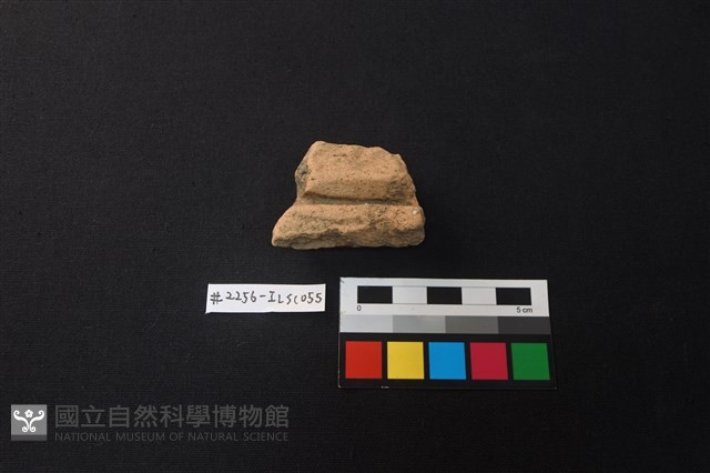 陶片藏品圖，第1張
