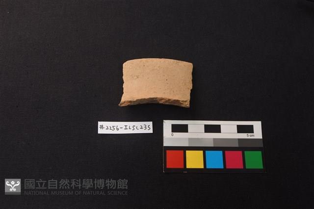 陶片藏品圖，第1張