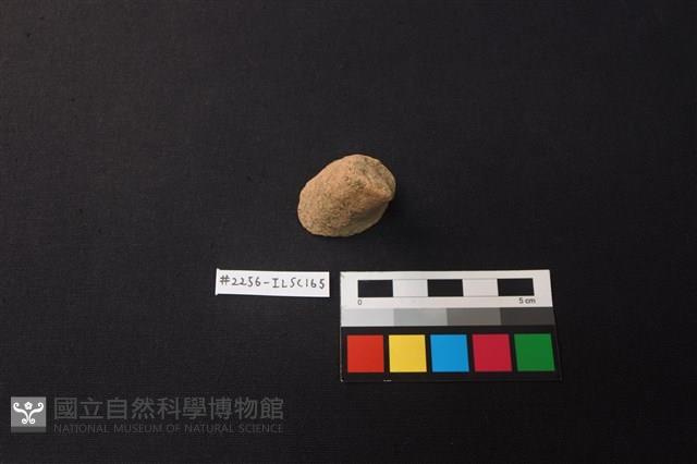 陶片藏品圖，第1張