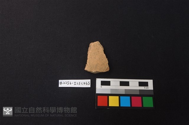 陶片藏品圖，第1張