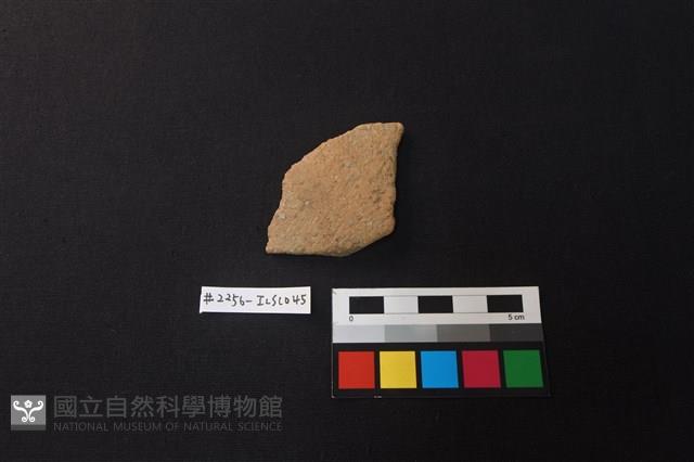 陶片藏品圖，第1張