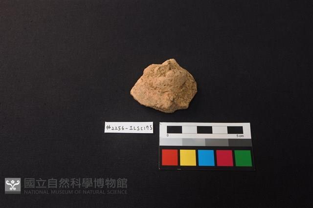 陶片藏品圖，第1張