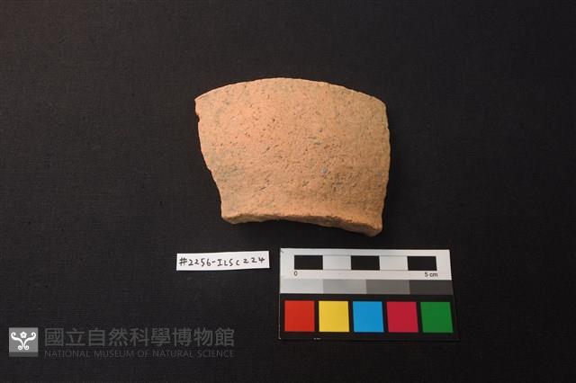 陶片藏品圖，第1張