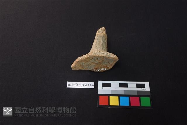 陶片藏品圖，第1張