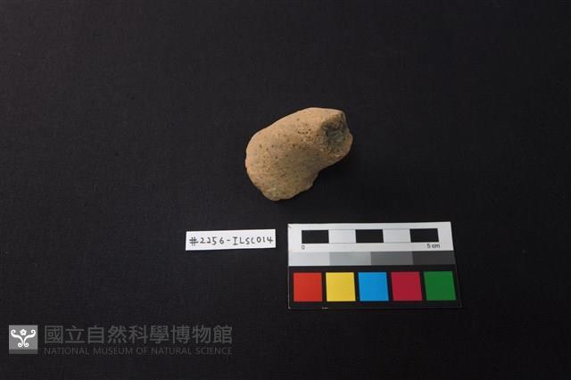 陶片藏品圖，第1張