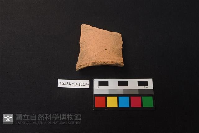 陶片藏品圖，第1張