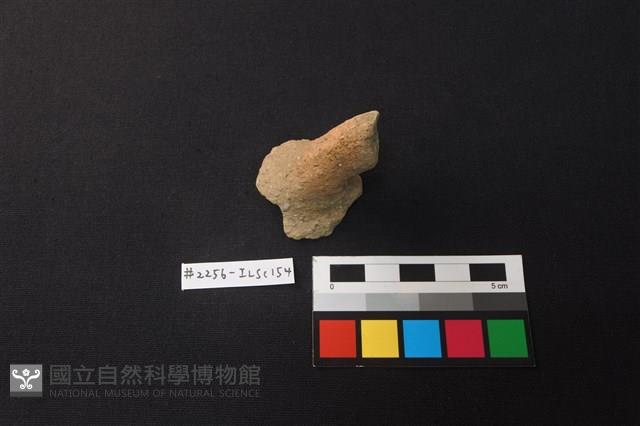 陶片藏品圖，第1張