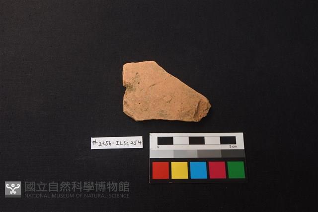 陶片藏品圖，第1張