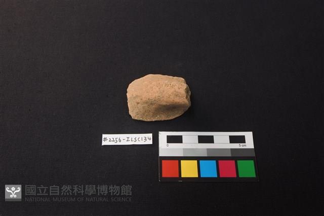 陶片藏品圖，第1張